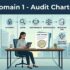 Audit Phase CISA Exam Notes, 36 Practice Questions